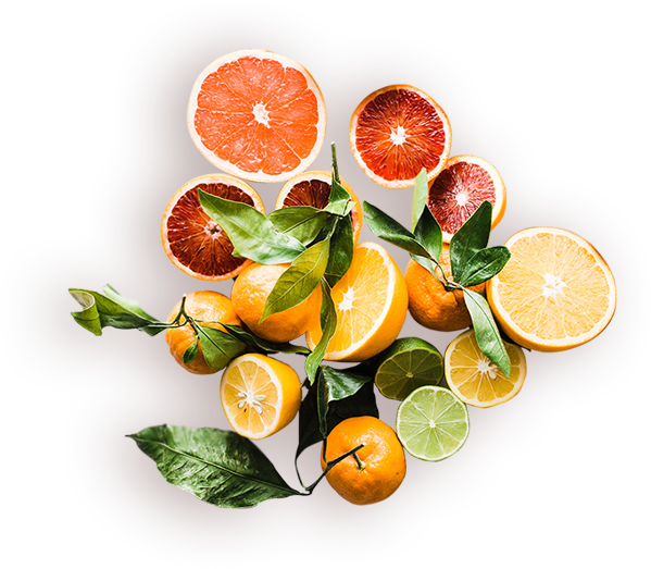fruits-new_03